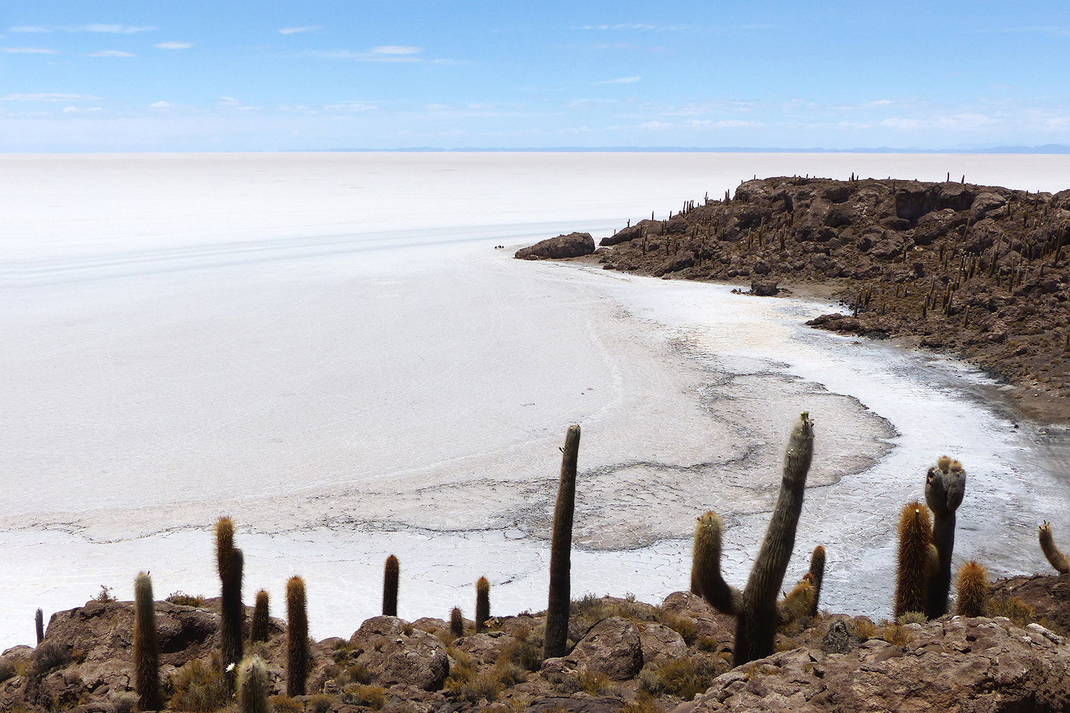 4D/3N Uyuni Salt Flats Tour Day 3: Isla Incahuasi