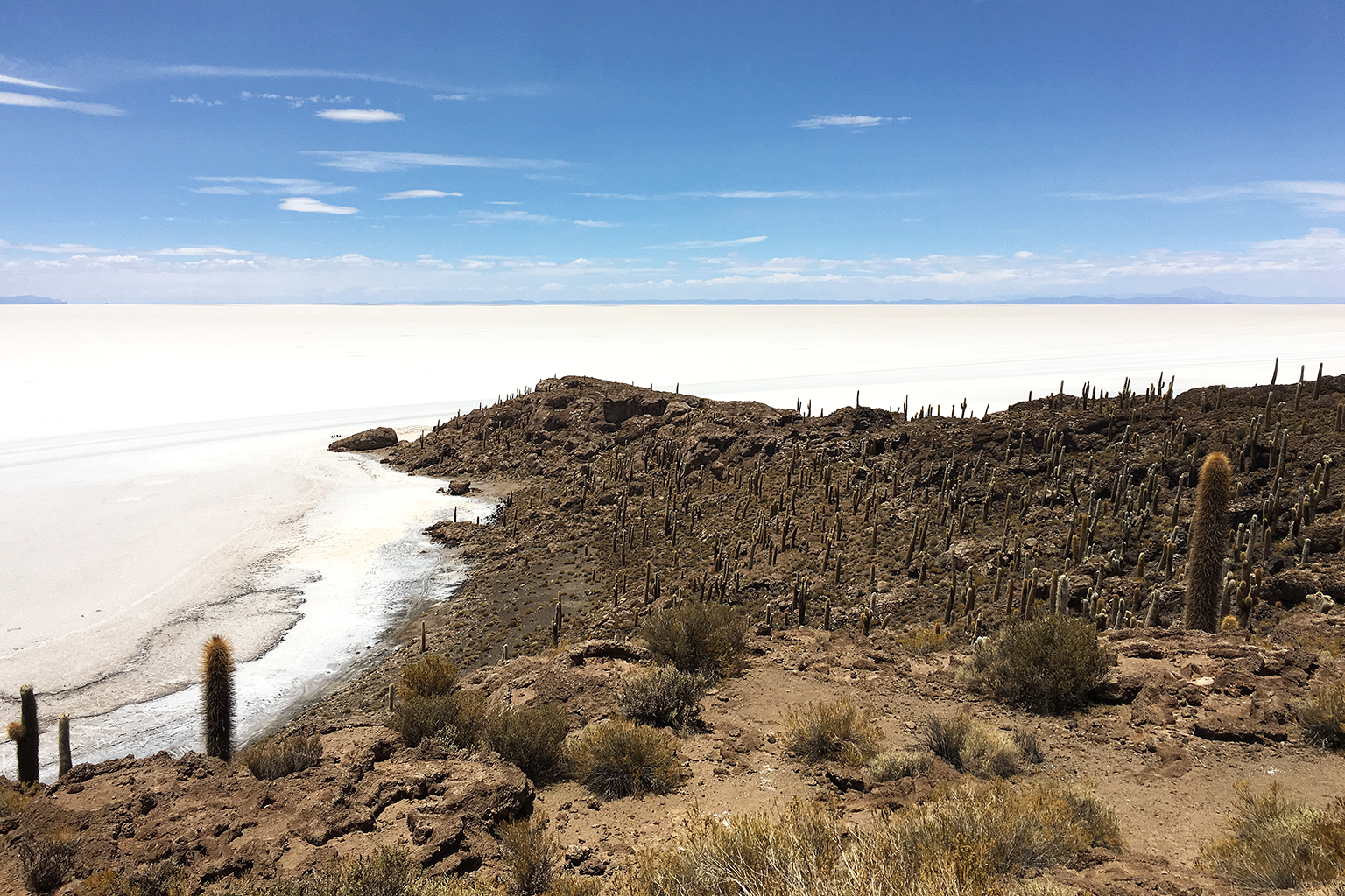 4D/3N Uyuni Salt Flats Tour Day 3: Isla Incahuasi